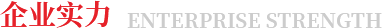 企業(yè)實(shí)力